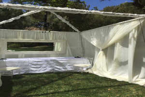 party tent rentals