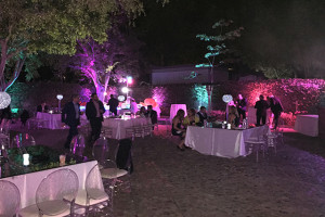 Night Party Table Rental